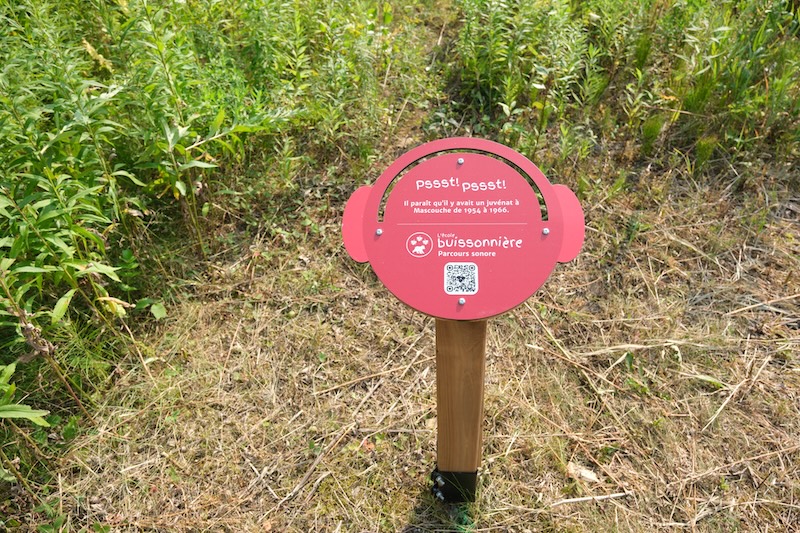 Parcours l'École buissonnière signalisation. Photo : Rad Gagnon, 2025.