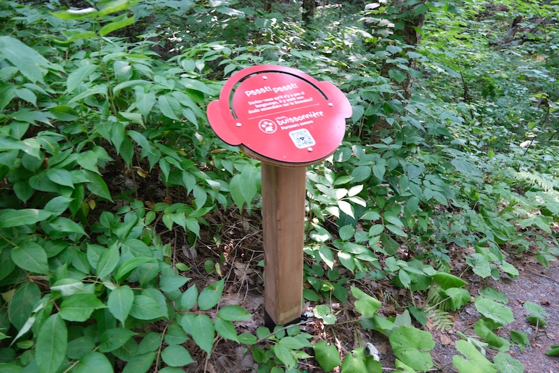 Parcours l'École buissonnière signalisation. Photo : Rad Gagnon, 2025.