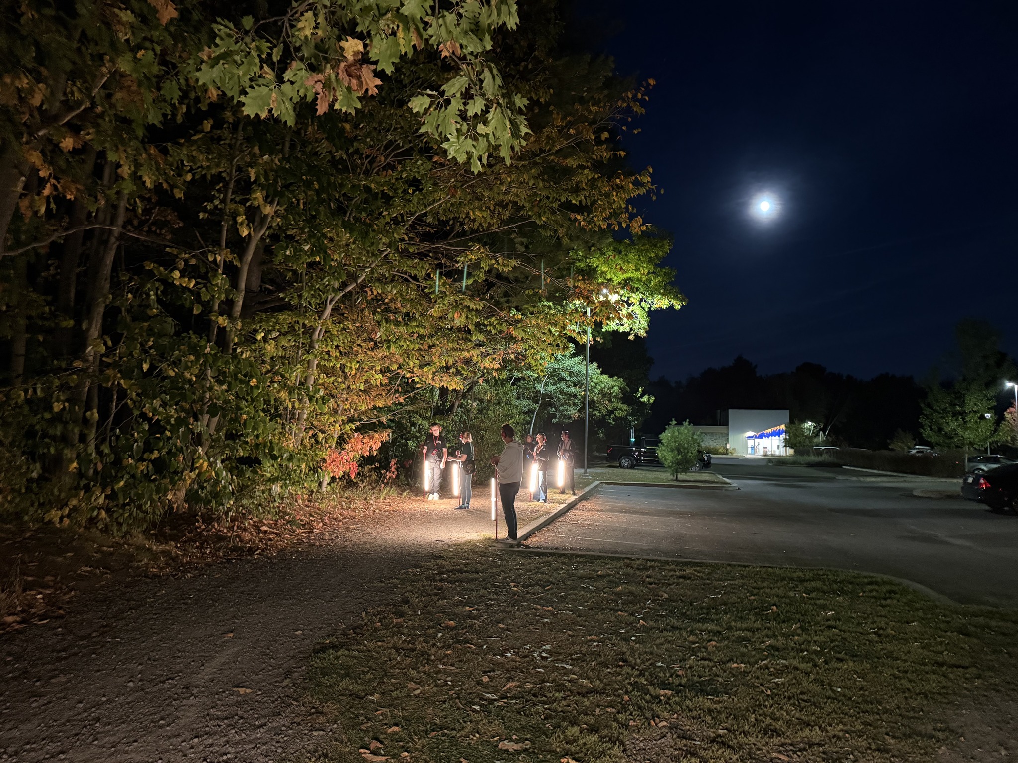 Parcours l'École buissonnière signalisation. Photo : Rad Gagnon, 2025.