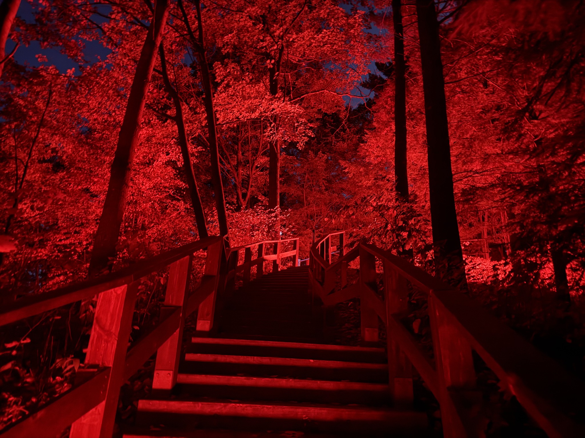 Parcours l'École buissonnière signalisation. Photo : Rad Gagnon, 2025.