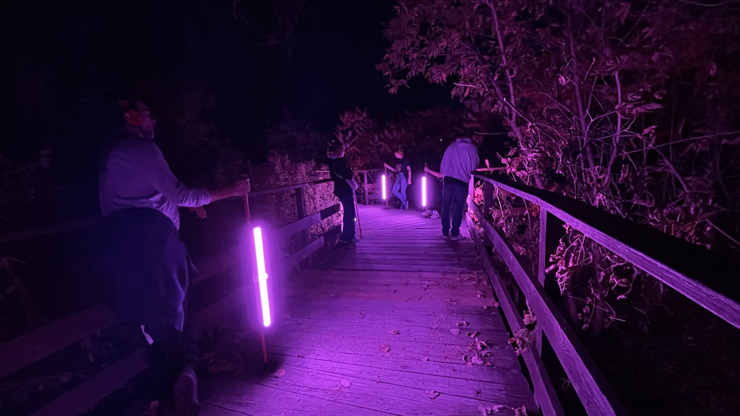 Parcours l'École buissonnière signalisation. Photo : Rad Gagnon, 2025.